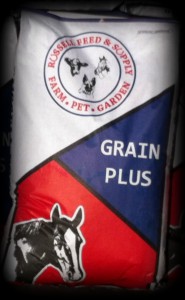 Russell Feed brand horse 3 Russell Feed brand horse 3 185x300 Horse