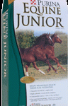 equine jr 96x150 Horse 