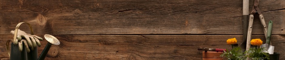 iStock_000013134894Medium