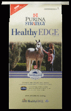 straegy HE straegy HE e1321391460289 Horse